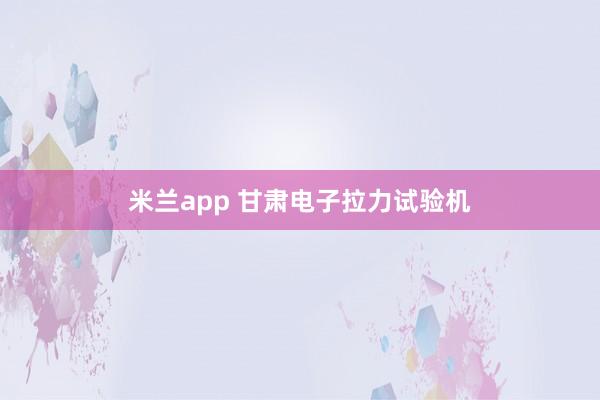 米兰app 甘肃电子拉力试验机