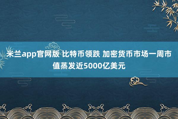 米兰app官网版 比特币领跌 加密货币市场一周市值蒸发近5000亿美元