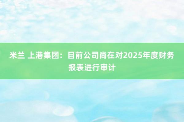 米兰 上港集团：目前公司尚在对2025年度财务报表进行审计