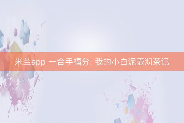 米兰app 一合手福分: 我的小白泥壶沏茶记